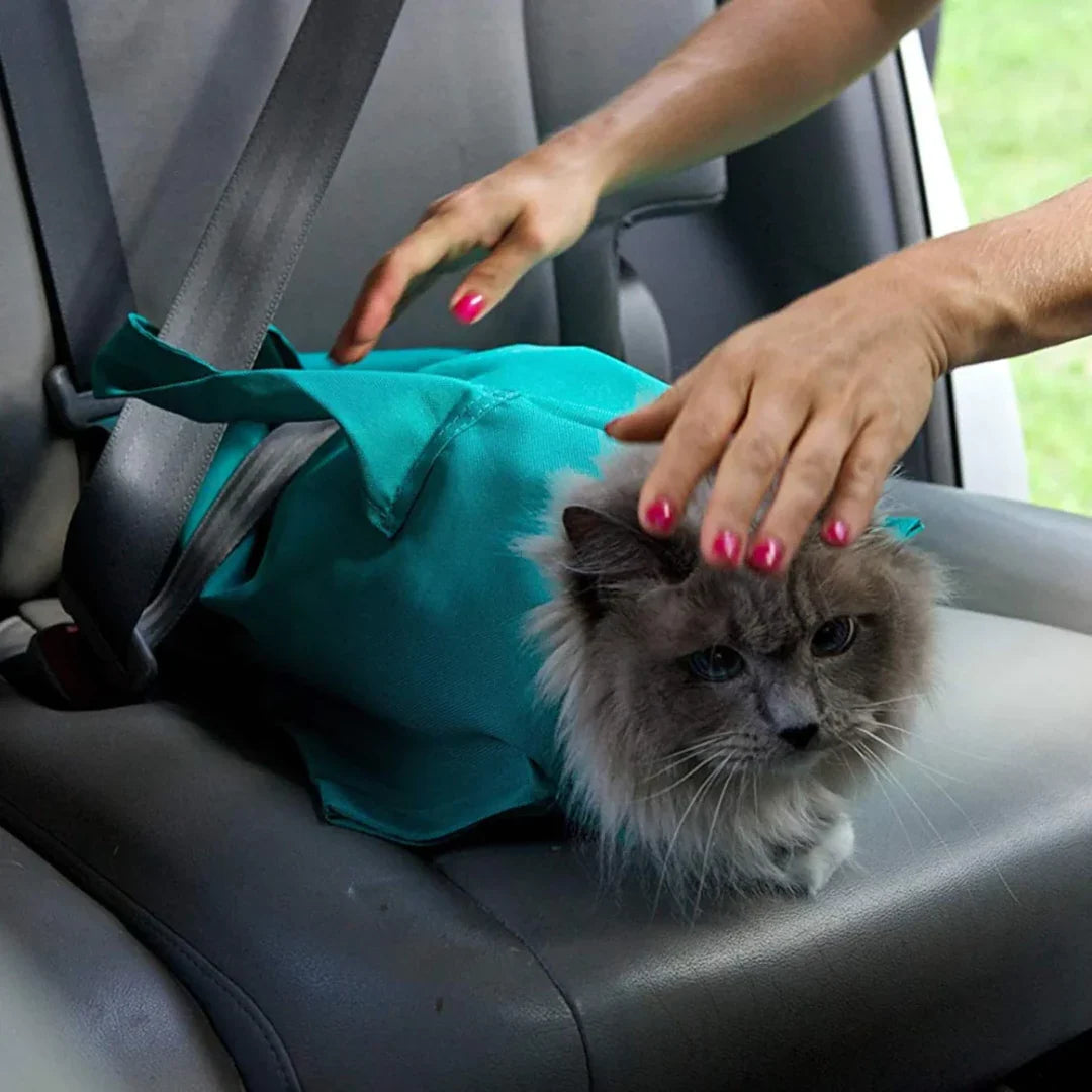 Deltee cat carrier 2.0