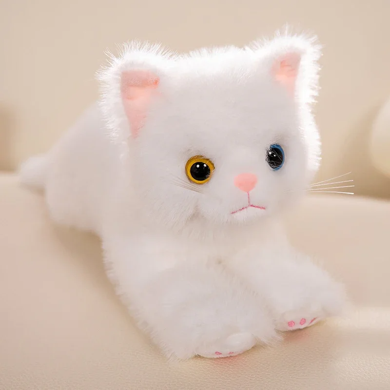 Cat Plushie