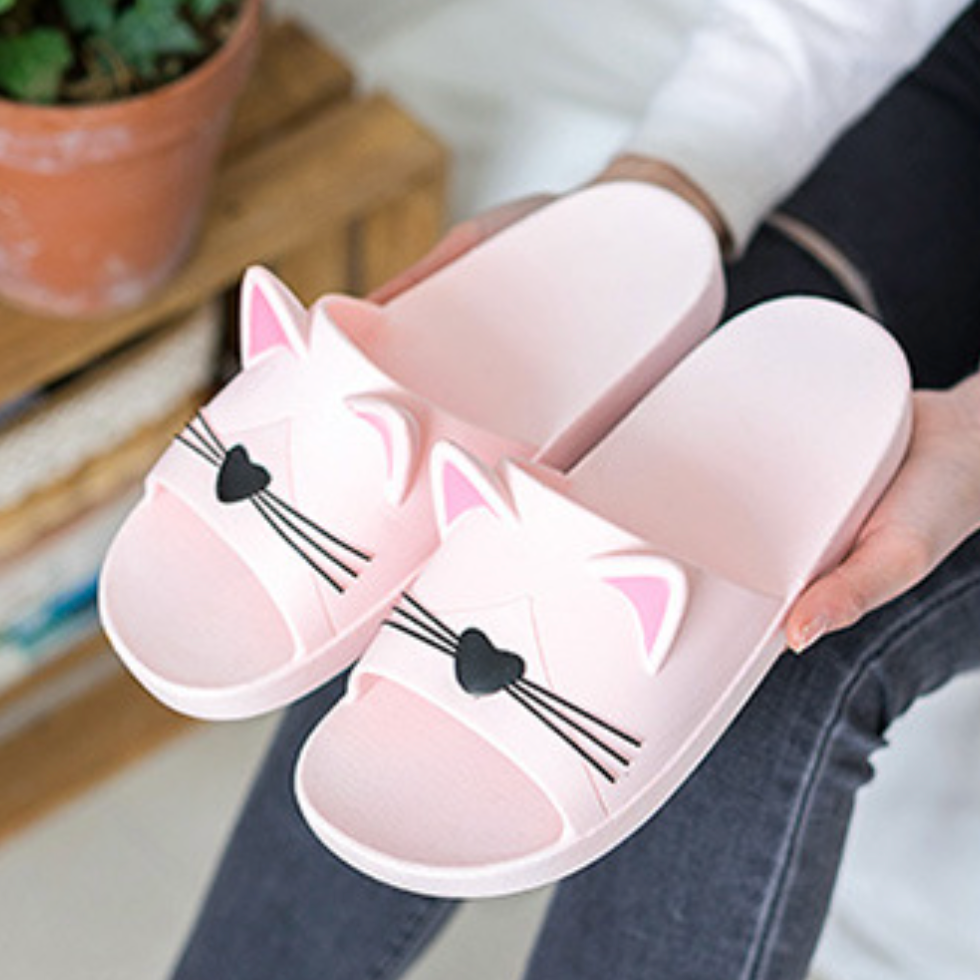 Cat slides