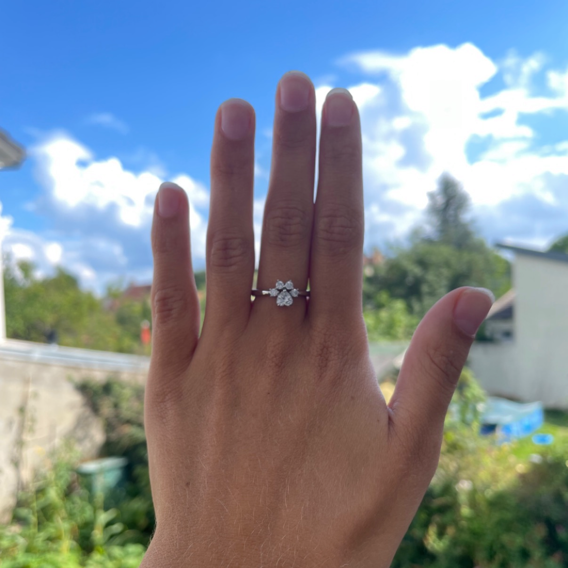 The Paw Ring