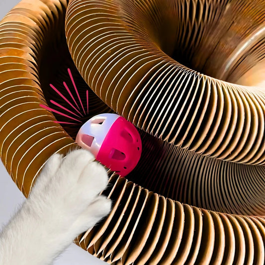 Magic cat toy