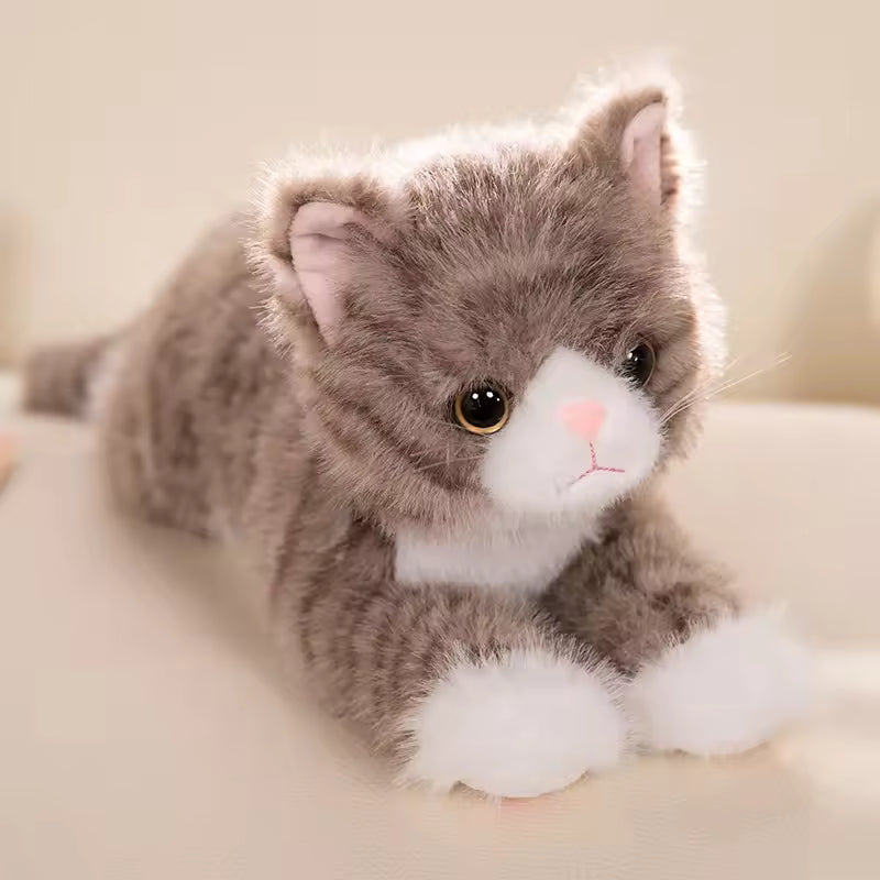 Cat Plushie