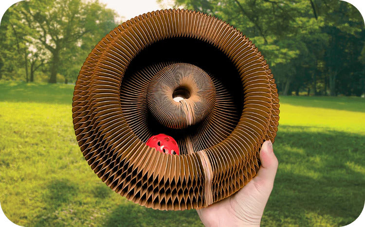 Magic cat toy