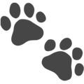 <h2>Free your cat</h2>
