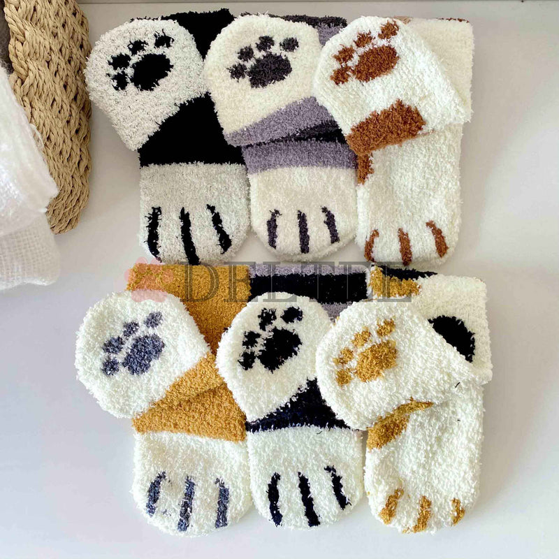 Cat Paws Box Of Socks By Hayley & Co